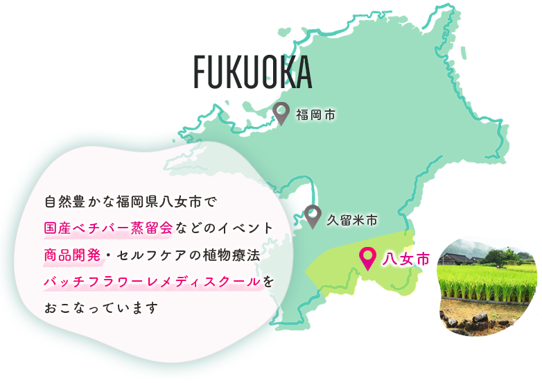 国産ベチバーの蒸留会や商品開発をおこなっております
